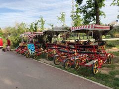 -永定河休闲森林公园