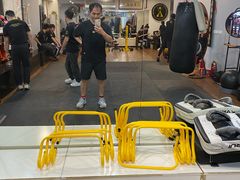-温鉴良实用咏春拳
