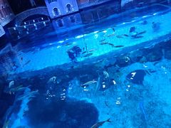 -华夏文旅海洋公园