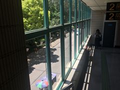 -杨高南路(地铁站)