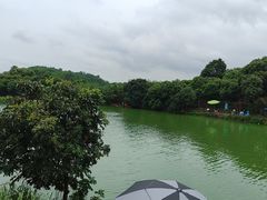 -大屏嶂森林公园