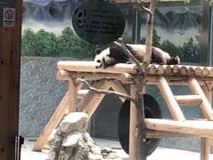 -西安秦岭野生动物园