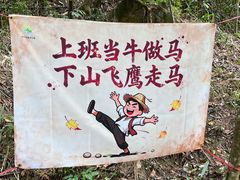 -广州白江湖森林公园