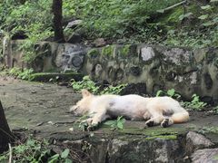 -北京凤凰岭