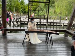 -溱湖国家湿地公园