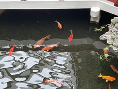 -广州白天鹅宾馆