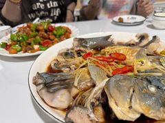 -煲来饱去冷水鱼