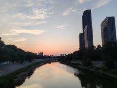 -桃花堤公园
