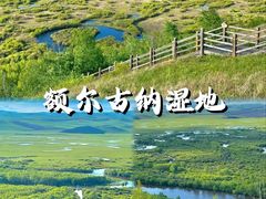 -呼伦贝尔大草原
