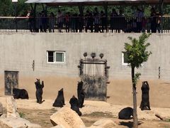 -石家庄市动物园