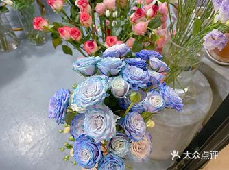 偶遇网红极光玫瑰颜值真是爱了
