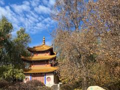 -沈阳植物园
