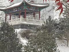-西海子公园