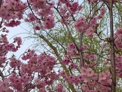 -梁鸿国家湿地公园