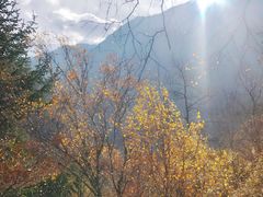 -叠溪松坪沟景区