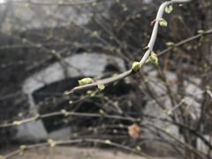 -东方之珠洗浴休闲广场(和平店)