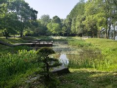 -东湖落雁景区