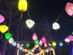 -南宫五洲植物乐园