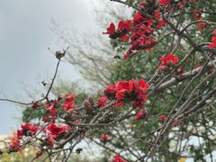 -东风公园