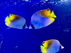 -太平洋海底世界