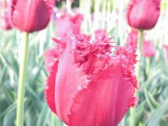 -长春公园(普阳街道)