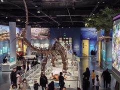 -国家自然博物馆