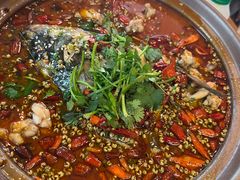 -杨氏青龙虾·羊蝎子(珠江路店)