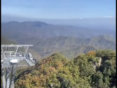 -栾川竹海野生动物园