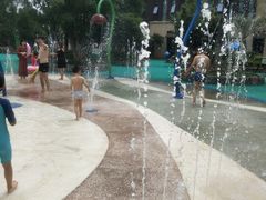 -苏州乐园森林水世界