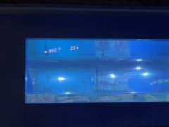 -重庆欢乐海底世界