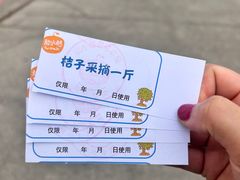 -前小桔亲子创意农场·草莓采摘·露营烧烤