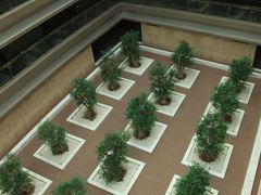 -南京禄口机场雅高铂尔曼大酒店