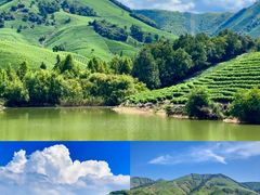 -阿露佳·舌尖上的安吉菜