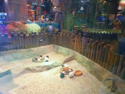 -宝燕乐园(闵行旗舰店)