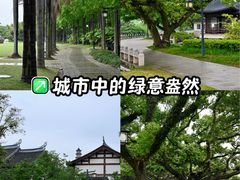 -江心屿景区