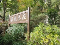 -嘉龙茶庄