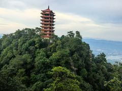 -缙云山景区