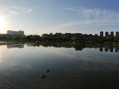 -前关湿地公园