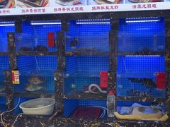 -鑫鸿达·海鲜闽菜热炒小馆(中山路店)