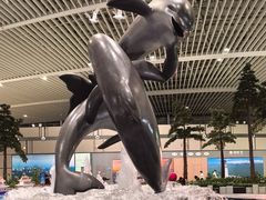 -青岛胶东国际机场