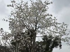 -圩墩遗址公园