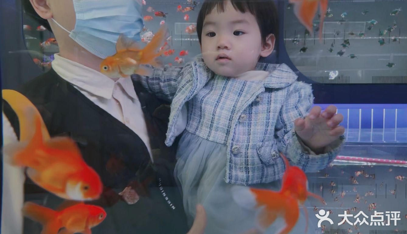 美林有个鱼世界