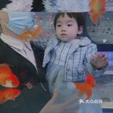 美林有个鱼世界