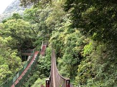 -太鲁阁公园