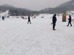 -东北亚滑雪场