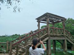 -艾溪湖湿地公园