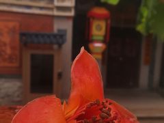 -晋江五店市传统文化旅游区