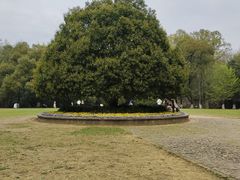 -灵谷景区