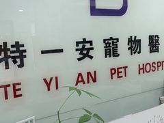 -特一安24小时宠物医院·骨科·中兽医