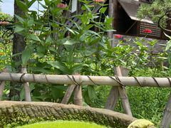 -驿舍·民國老营房院子私房菜(白市驿店)